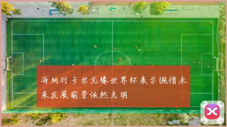 海纳对卡尔无缘世界杯表示惋惜未来发展前景依然光明